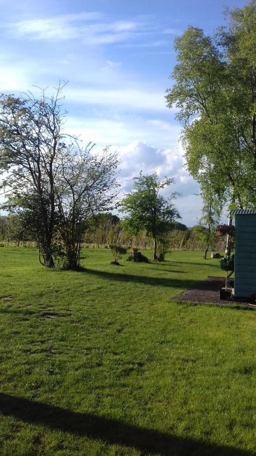 Hopgarden Glamping - Luxury 6M Bell Tent Wadhurst Exterior foto